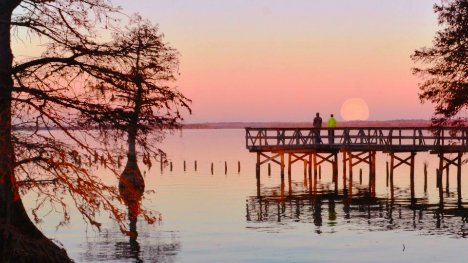 Visit Reelfoot Lake - Discovery Park of America: Museum and Heritage Park