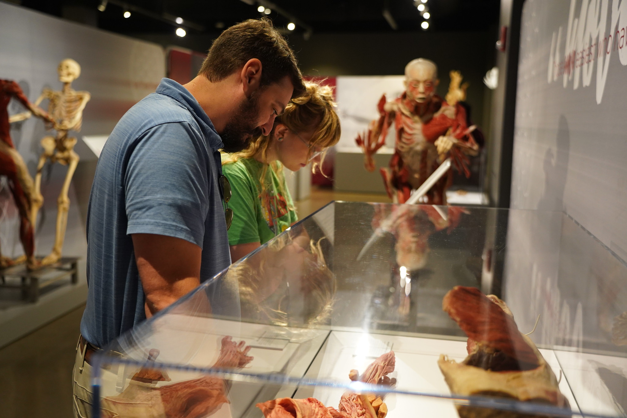 people viewing exhibits