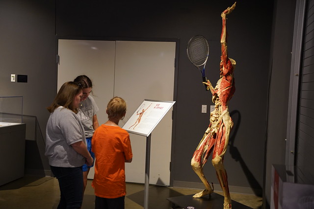 Real Bodies Exhibit